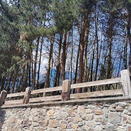 Hotel El Nuevo Semellon Aceptamos Mascotas Tineo Exteriér fotografie