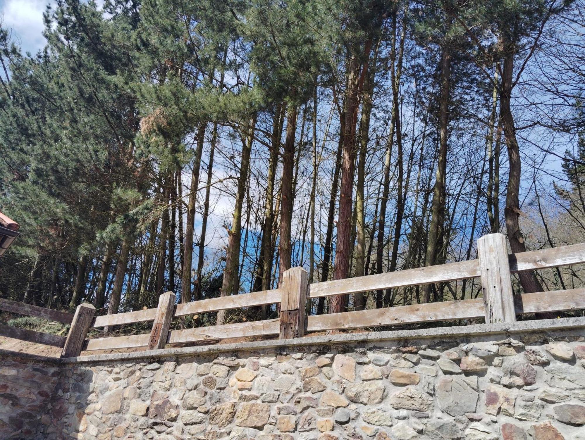 Hotel El Nuevo Semellon Aceptamos Mascotas Tineo Exteriér fotografie