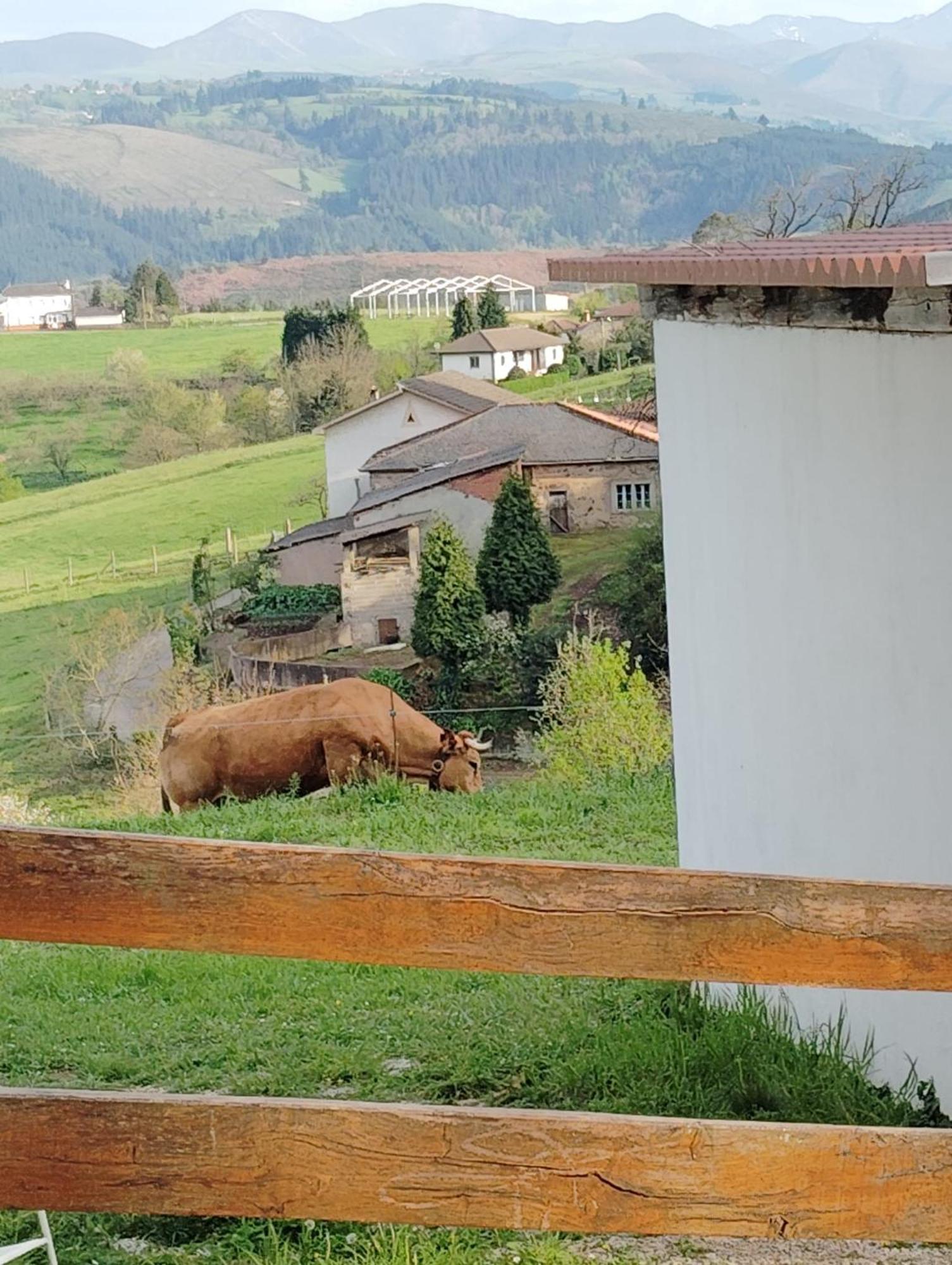 Hotel El Nuevo Semellon Aceptamos Mascotas Tineo Exteriér fotografie